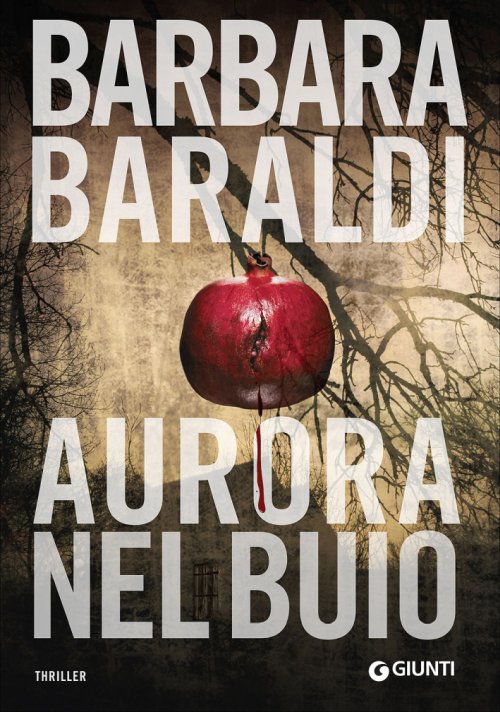 RECENSIONE: Aurora nel buio (Barbara Baraldi)