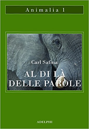 Al di là delle parole