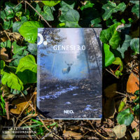 Genesi 3.0 - Angelo Calvisi - Neo edizioni b