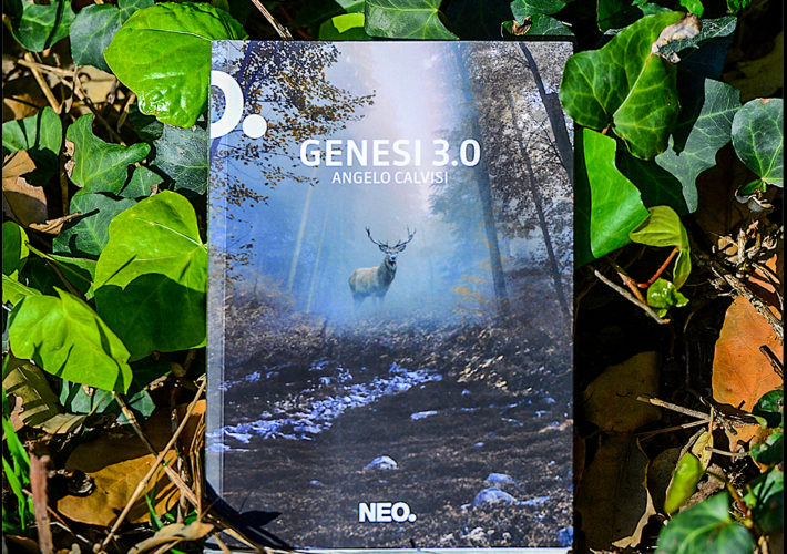 Genesi 3.0 - Angelo Calvisi - Neo edizioni b