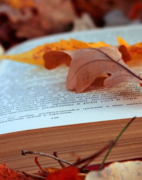 Generica libri foglie autunno