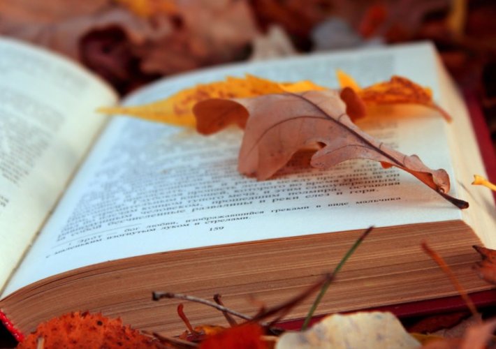 Generica libri foglie autunno