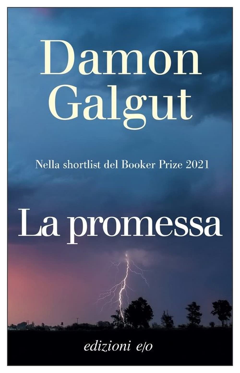 NON RECENSIONE: La promessa (Damon Galgut)