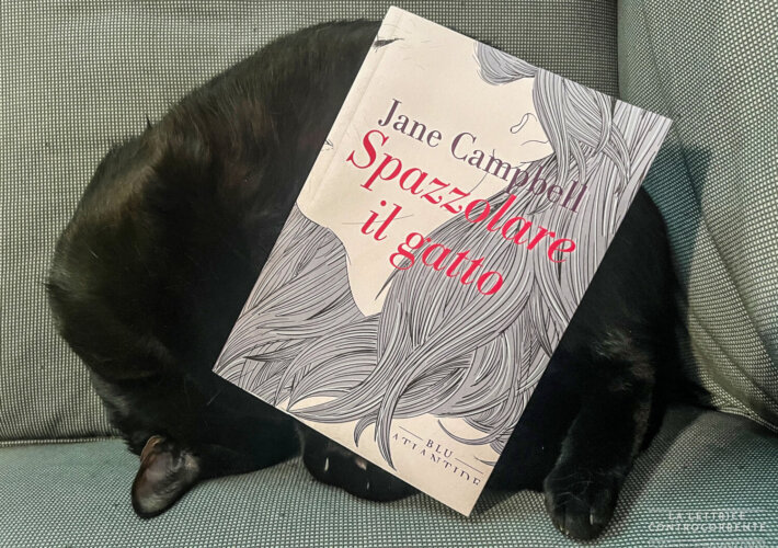 Spazzolare il gatto - Jane Campbell - Blu Atlantide edizioni
