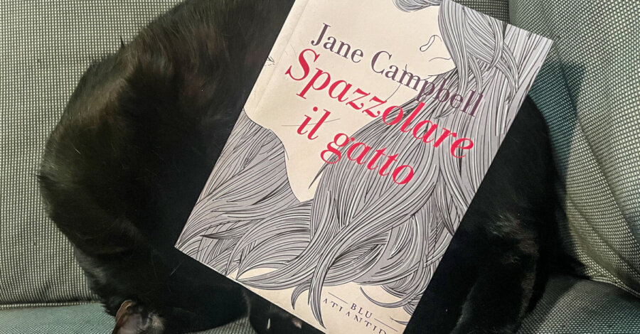 Spazzolare il gatto - Jane Campbell - Blu Atlantide edizioni