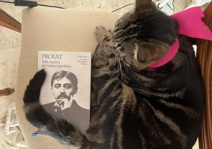 Proust controcorrente Albertine scomparsa