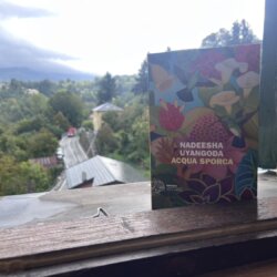 RECENSIONE: Acqua sporca (Nadeesha Uyangoda)