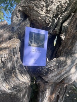 Un giorno come un altro di Shirley Jackson (Adelphi edizioni)