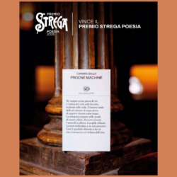 Premio Strega Poesia 2026: Carmen&hellip;